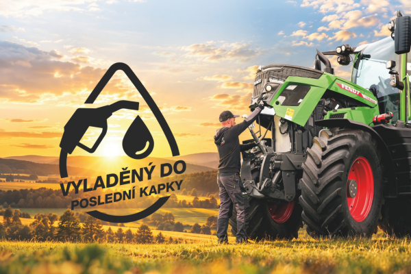 Vyladený web (1)